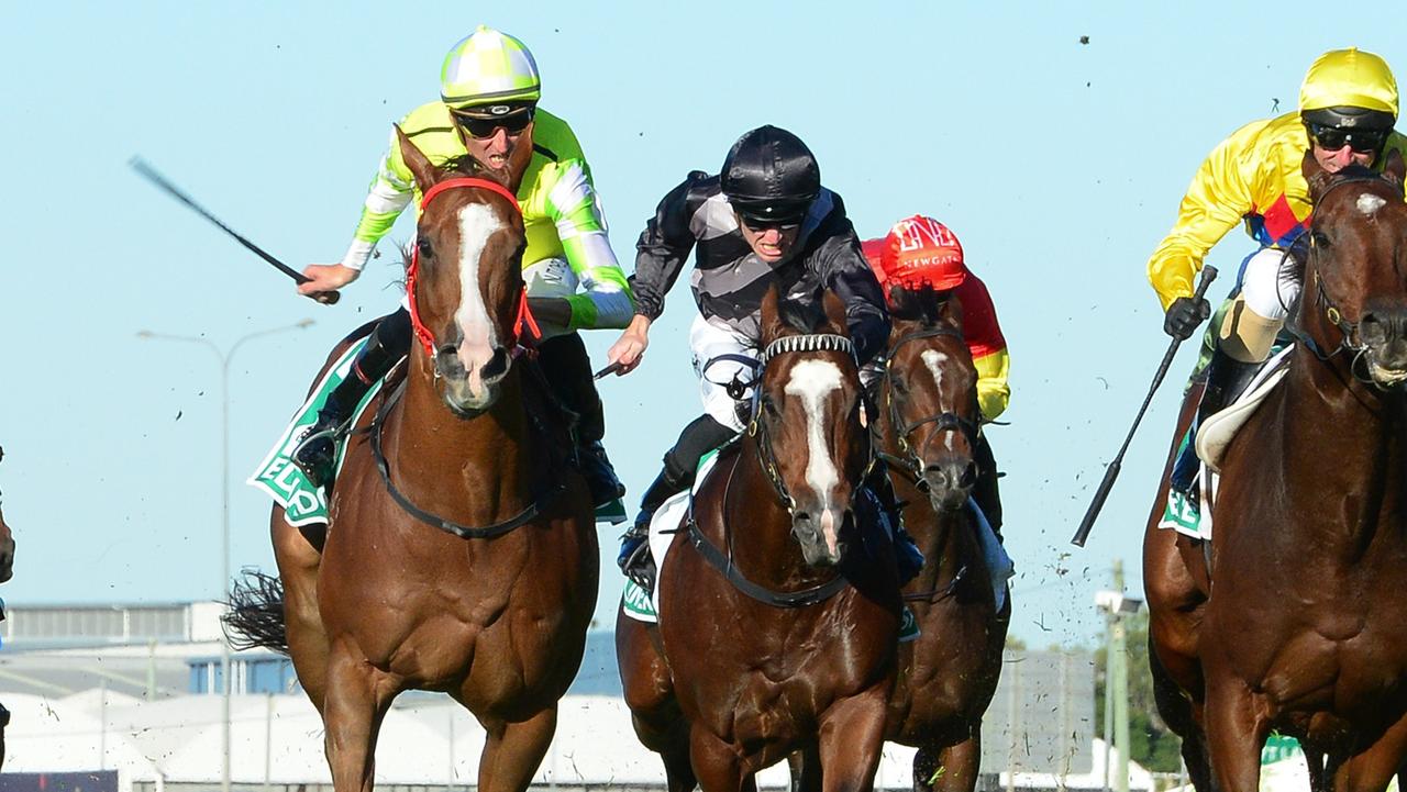 Eduardo fends off his rivals to win the Doomben 10,000. Picture: Grant Peters/Trackside Photography