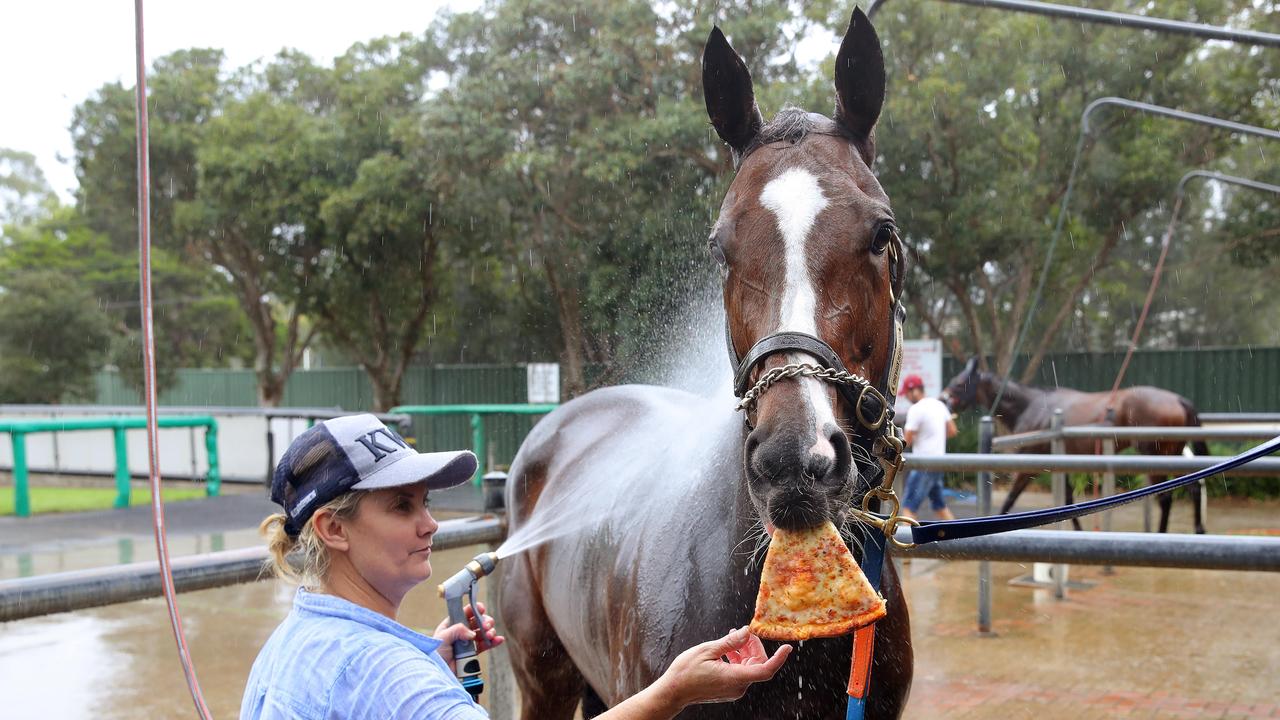 Nettoyer enjoying a slice of Margherita pizza with trainer Wendy Roche. Picture: Toby Zerna