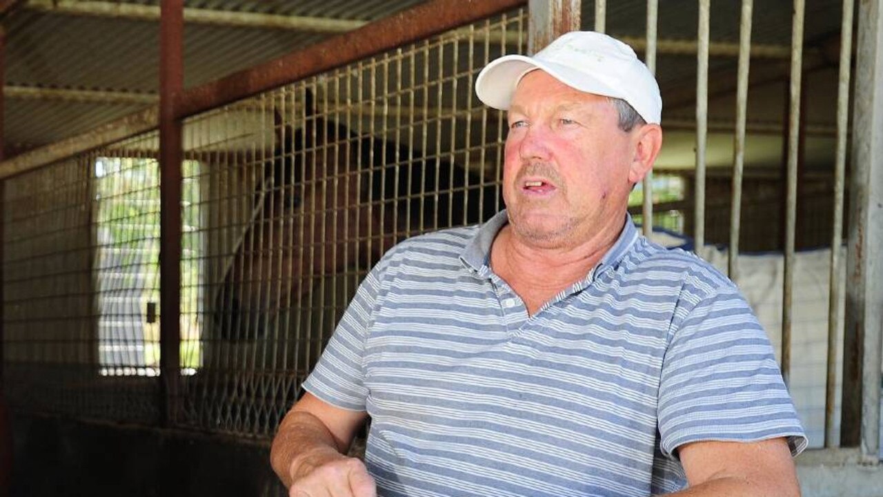 Gary Colvin is confident Sizzling Cat can get back into the winning groove at Albury on Monday.