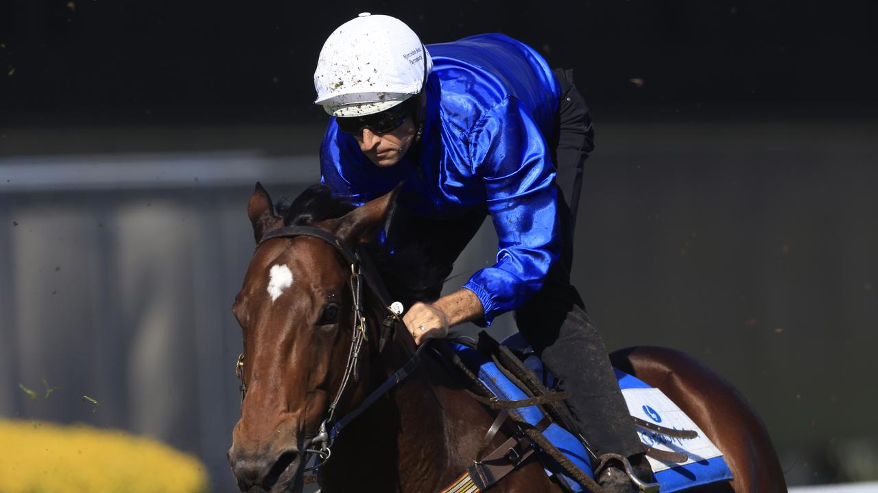 Savatiano, Gytrash in doubt for Kingsford-Smith - Vimarsana News