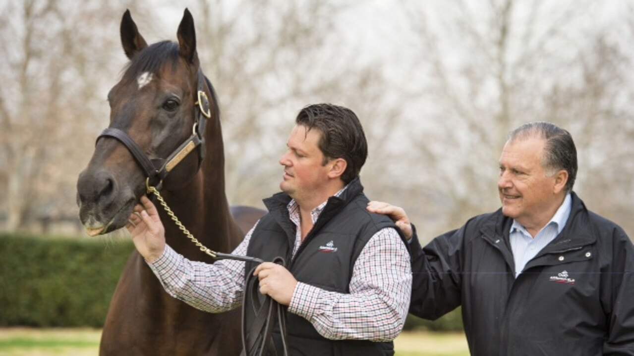 Redoute‘s Choice with John Messara (right) with son Paul at Arrowfield Stud. Photo: Bronwen Healy.