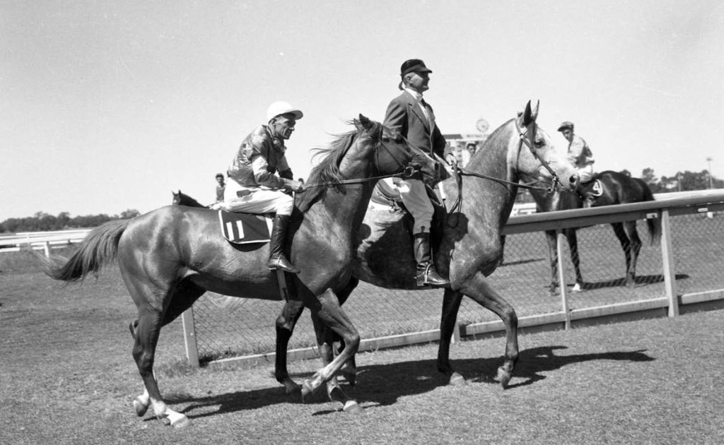 The feature in Perth is named for the legendary Raconteur. Photo: RWWA