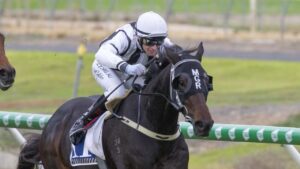 Pearl Bandit wins the David ‘DT’ Thomas Memorial Handicap at Morphettville. Picture: Atkins Photography