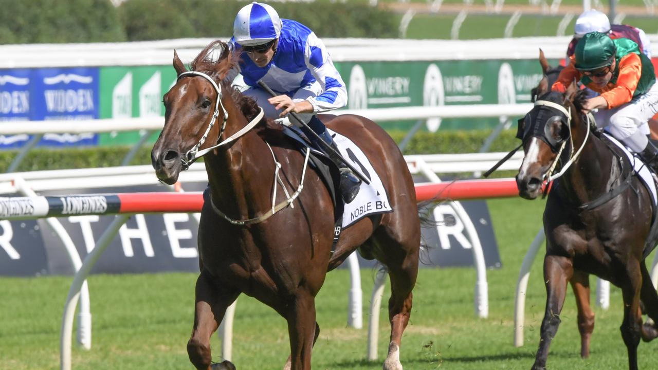 Noble Boy winning the Country Championships. Photo: AAP Image/Simon Bullard