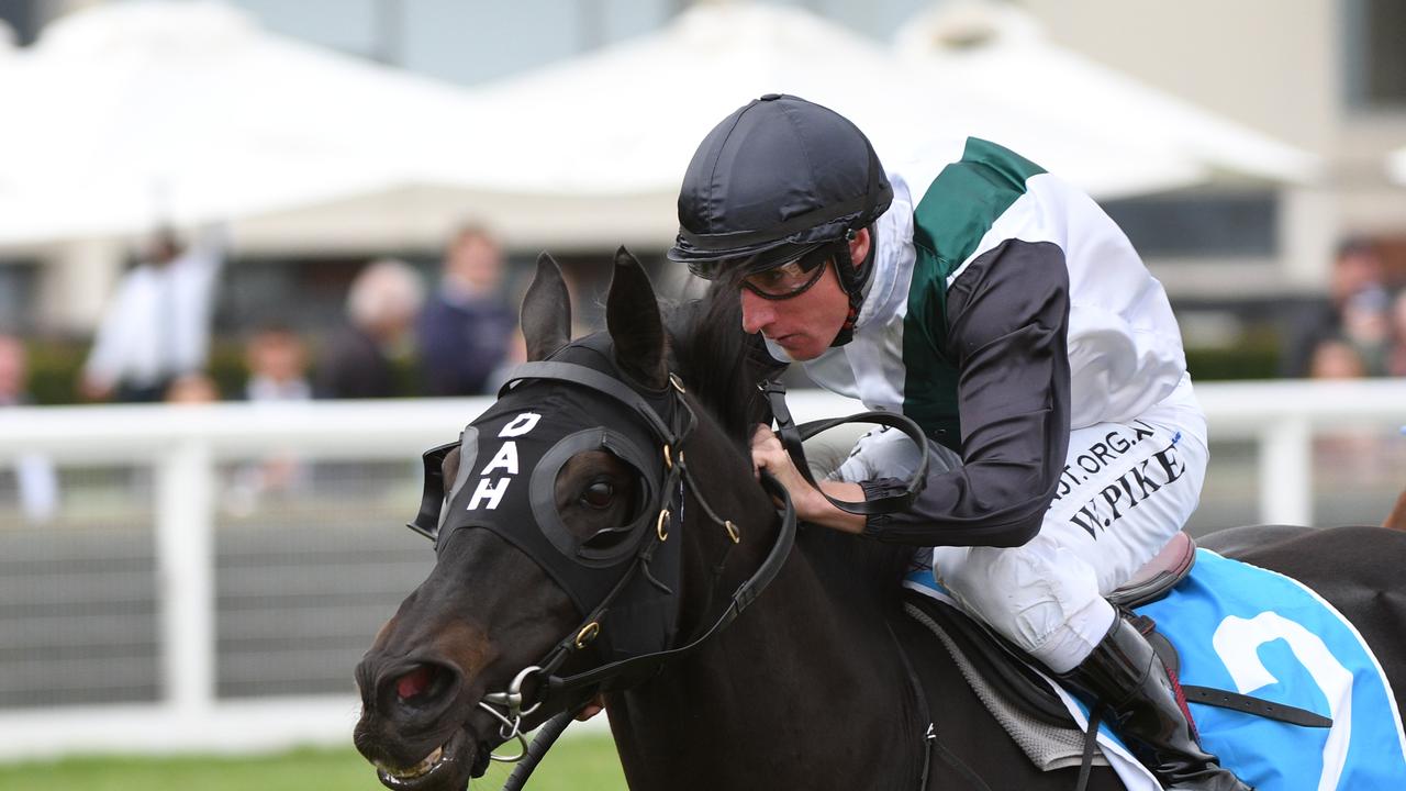 So Si Bon will be out to give Tom Dabernig a final Group 1 win with Lindsay Park in Saturday’s Stradbroke Handicap at Eagle Farm. Photo: Getty Images.