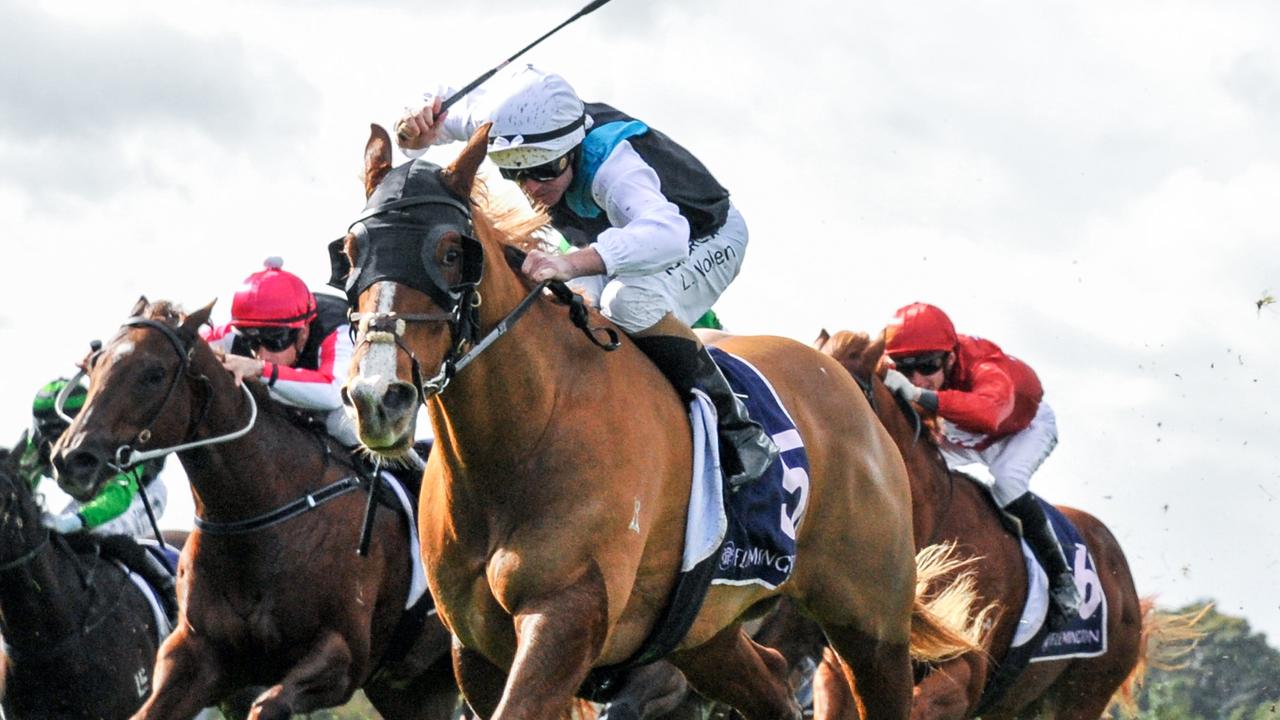 Mimosas attracted plenty of interest from Hong Kong buyers after an impressive debut win at Flemington. Picture Racing Photos