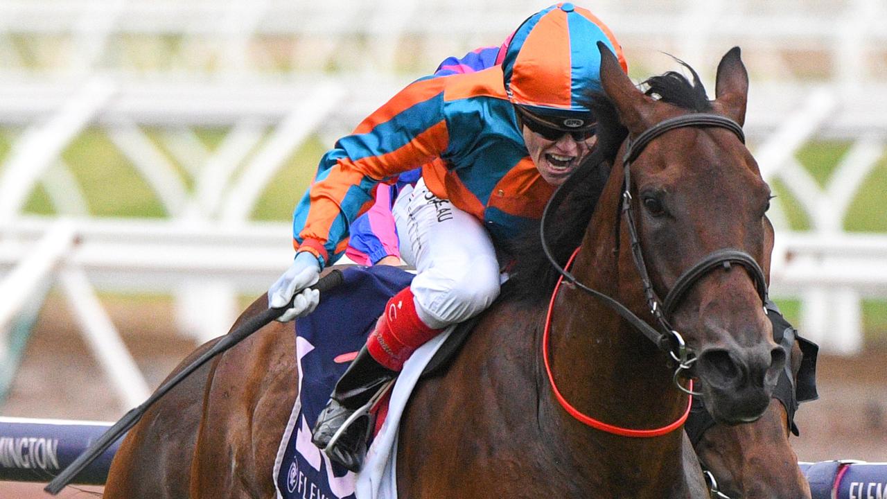 Jumbo Ozaki winning at Flemington last year under Craig Williams. Picture: Racing Photos