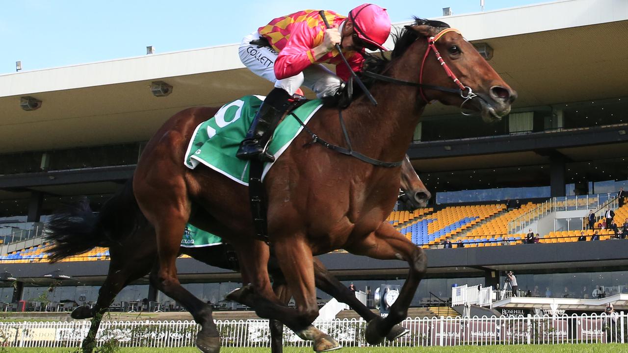 Talented mare Steel Diamond resumes form a spell for new trainer Chris Waller at Royal Randwick on Saturday. Photo: AAP Image