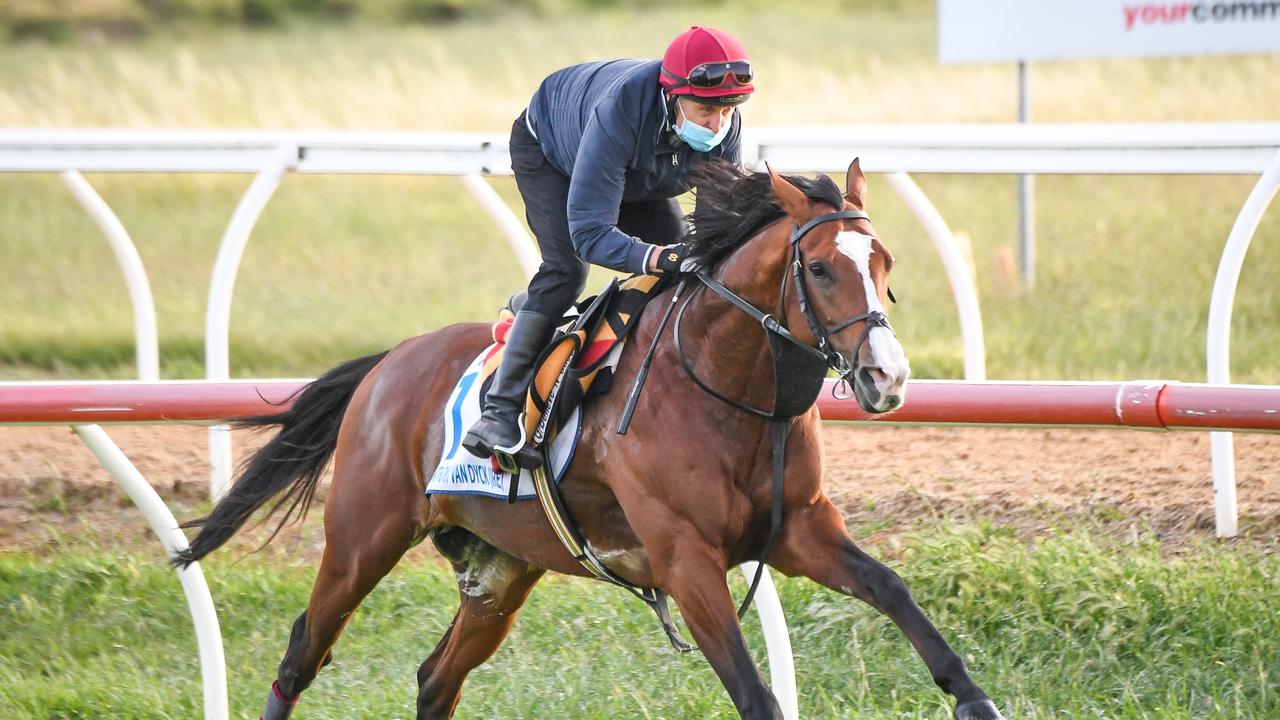 Anthony Van Dyck’s death in the Melbourne Cup has produced a raft of horse welfare improvements for the 2021 spring carnival. Picture: Racing Photos via Getty Images