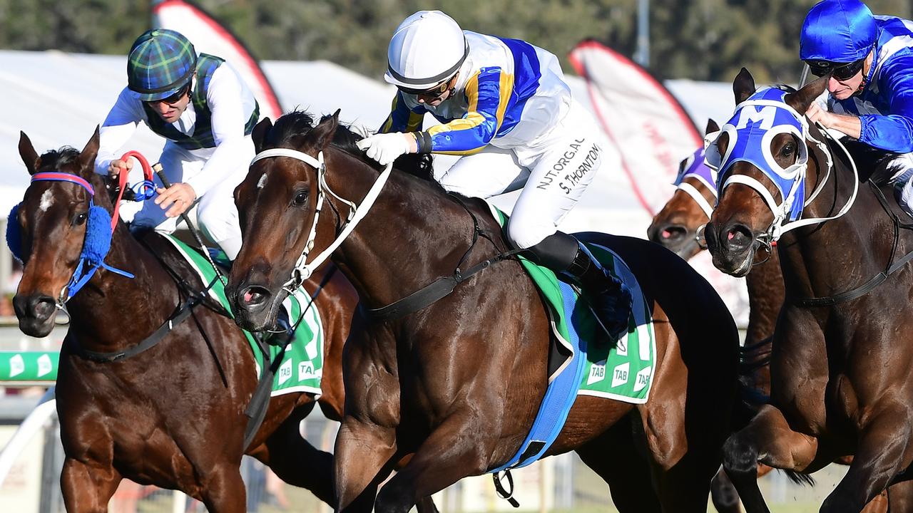 Stephanie Thornton (white cap) rides Happy Go Plucky to victory in the Ipswich Cup. Picture: Trackside Photography