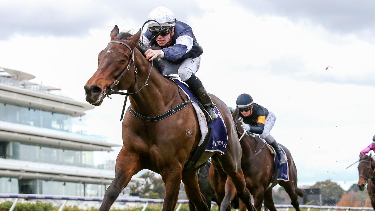 Flemington winner Degraves wasn’t an easy steer for Will Price in The David Bourke. Picture: Racing Photos via Getty Images