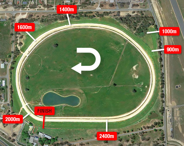 Albury Racecourse - Form Guide, Track Map, Tips & Results