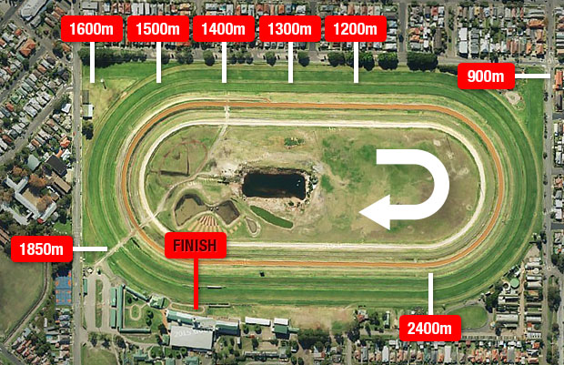 Newcastle Racecourse Form Guide Track Map Tips Results