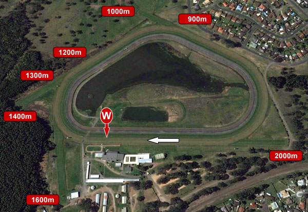 taree-racecourse-form-guide-track-map-tips-results