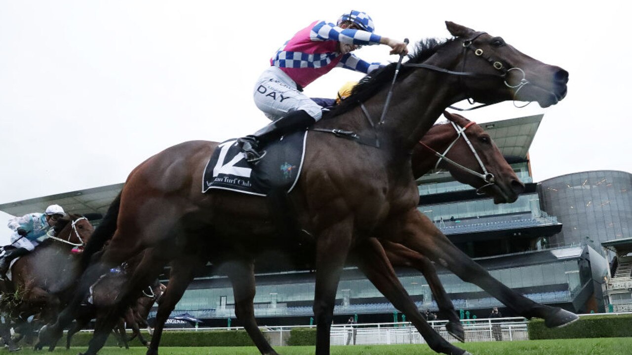 Man Of Peace won more races than any other horse in Sydney during the winter last year and his trainer Matt Dale is aiming for similar results in the weeks and months ahead. Picture: Getty Images