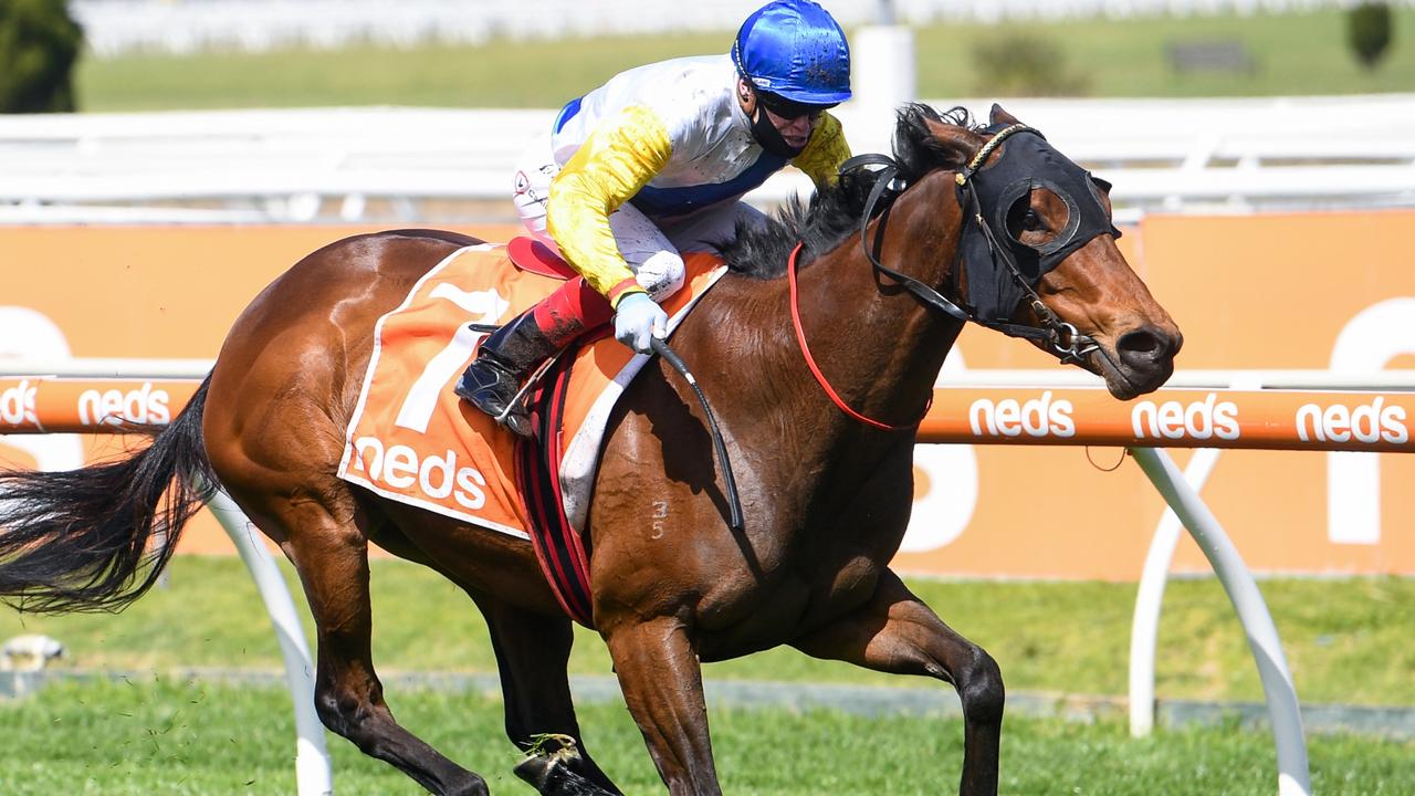 Craig Williams rides Pinyin to victory at Caulfield last year. Picture: Racing Photos via Getty Images