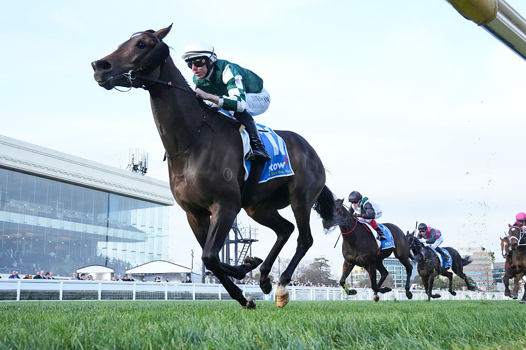 Memsie Stakes 2026 | Tips, Odds, Field & Results | Racenet