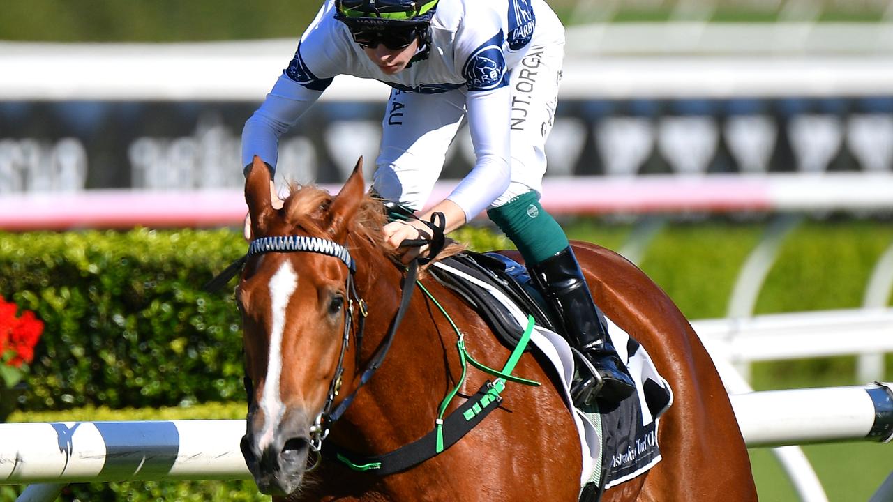 Blazing Miss will run in Wednesday’s Listed Ramornie Handicap. Photo: AAP Image/Dan Himbrechts