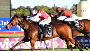 Southern Lad gets the better of Phobetor in the Ramornie Handicap at Grafton. Picture: Trackside Photography