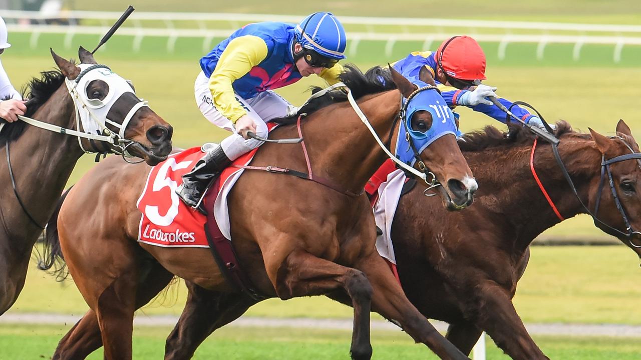 Dexelation will attempt to end a run of near-misses in Saturday’s Group 3 Sir John Monash Stakes at Caulfield. Picture: Racing Photos via Getty Images