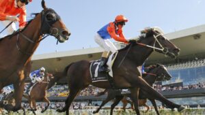 George Ryder Stakes winner Think It Over is being set for the Cox Plate. Picture: Getty Images