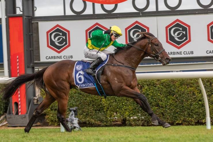 The Goodwood 2022 Tips Odds Field Results Racenet