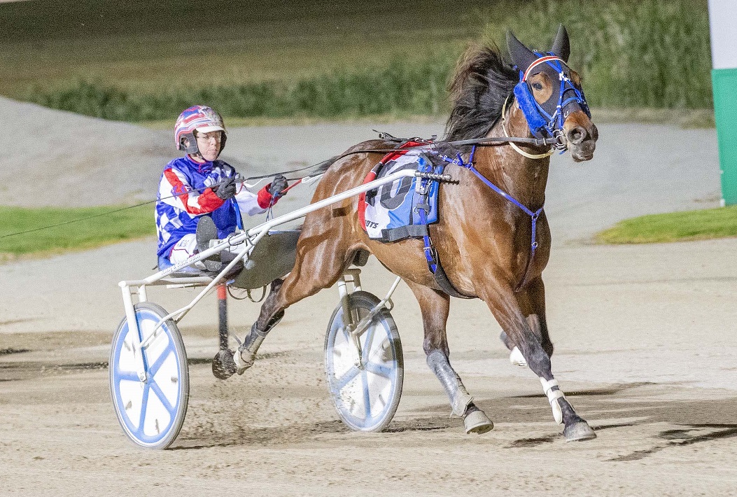 Majestuoso winning at Tabcorp Park in December pic: Stuart McCormick