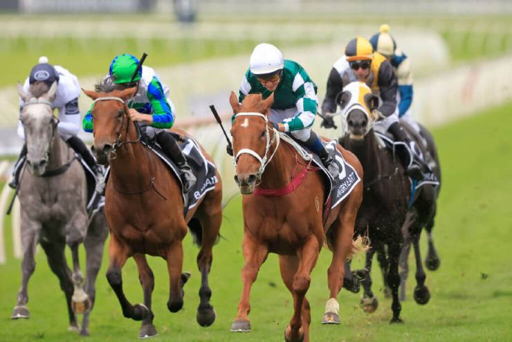Australian Oaks 2022 Tips Odds Field Results Racenet