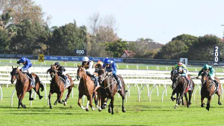 Queen Elizabeth Stakes Field