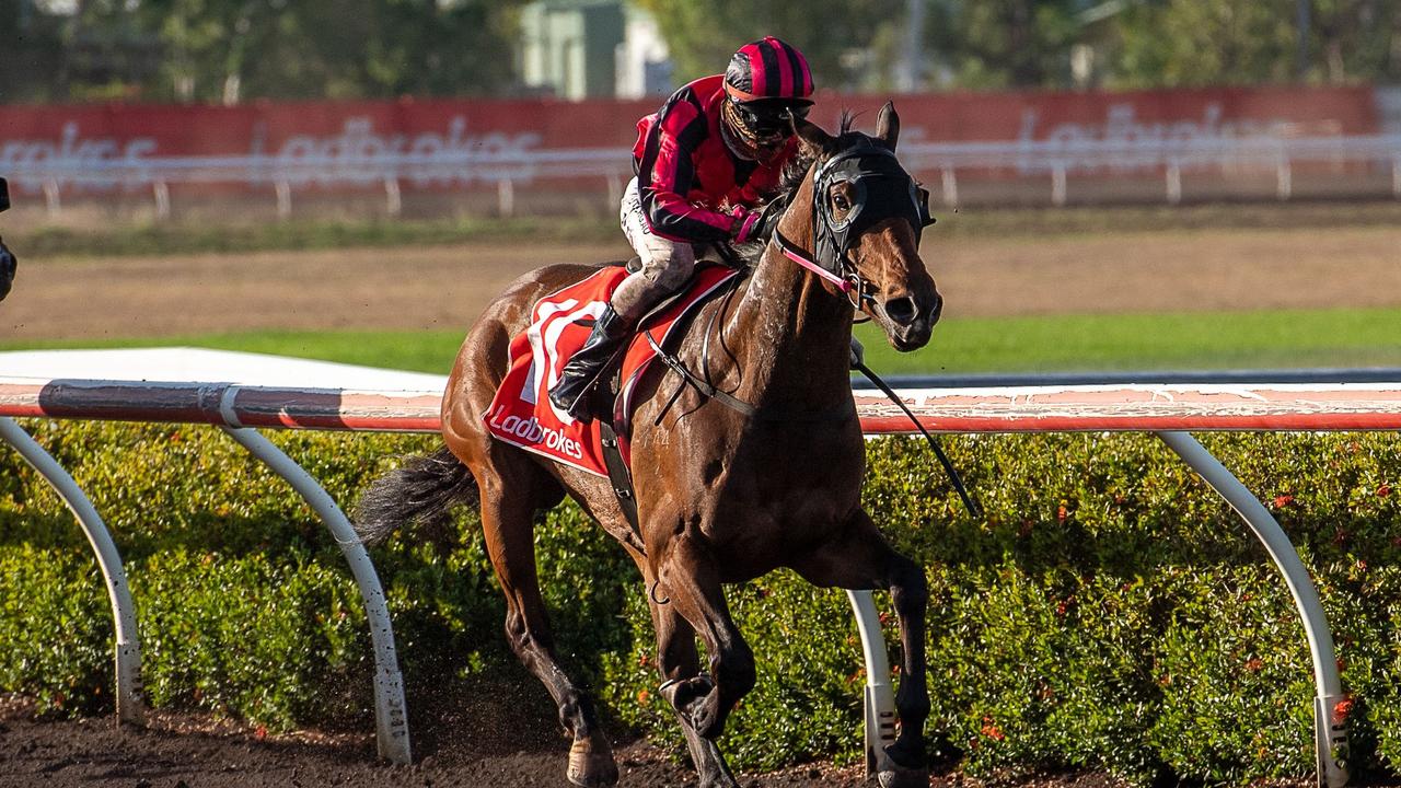 Trident is one of the fancied elects in the $135,000 Ladbrokes NT Derby. Picture: Supplied