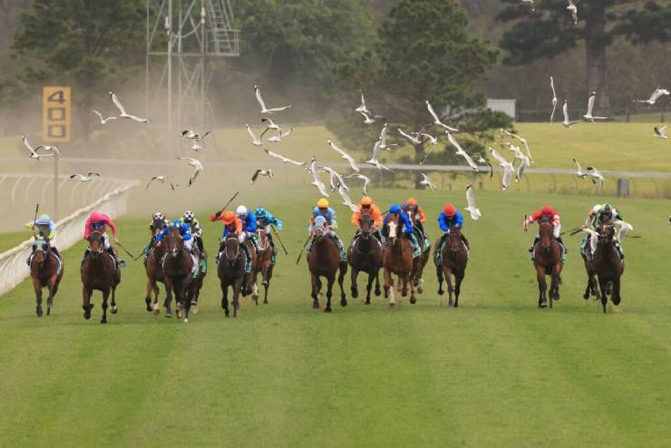The Gong 2021 Tips Odds Field Results Racenet