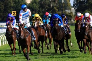 Golden Slipper 2022 | Horses, Field, Race Time, Tips & Results