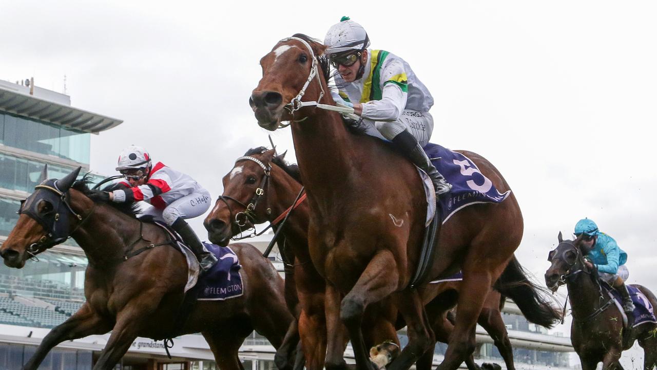 Thomas Stockdale and Chassis hold off a charging Lindhout in the Rising Stars Final at Flemington. Picture: Racing Photos via Getty Images