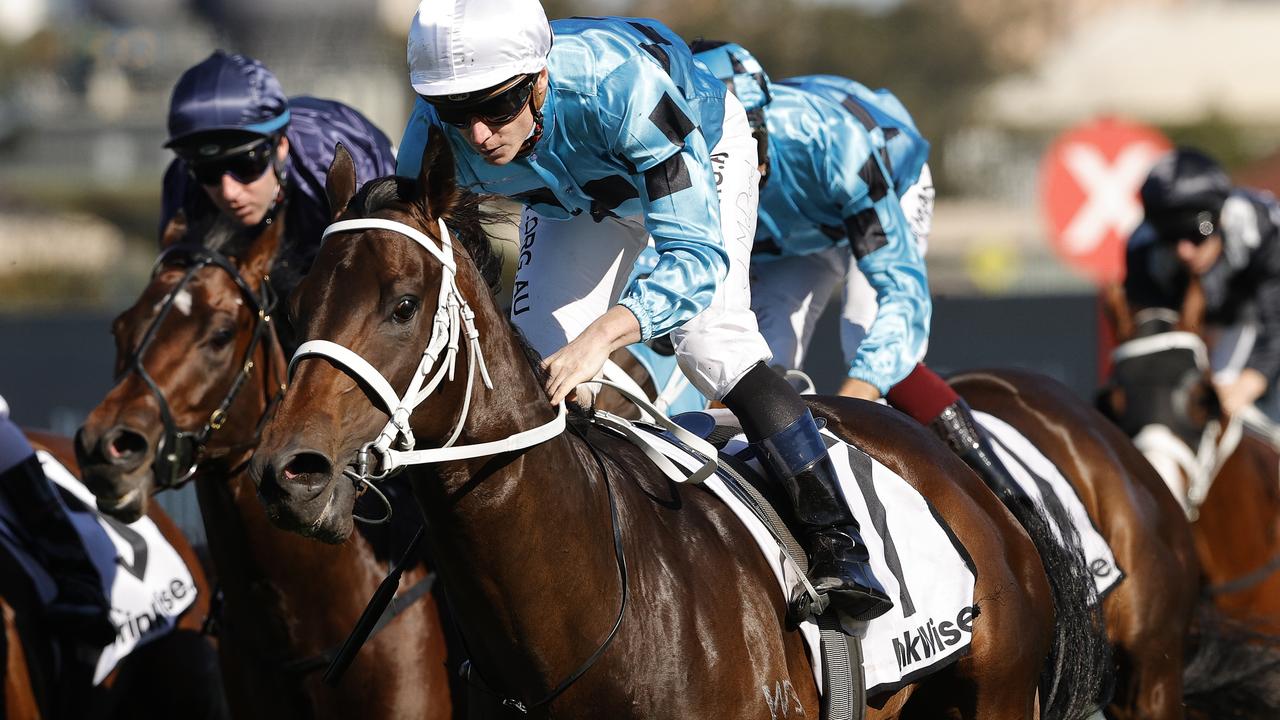 Group 1-winning colt Mo'unga. Photo: Mark Evans–Getty Images.