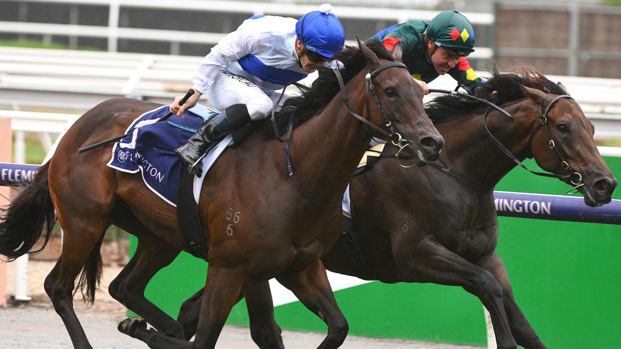 Catalyst (white) battles it out with Alligator Blood at Flemington. The winner of six races from 10 starts is now with trainer Tony Pike. Photo: AAP Image–Vince Caligiuri