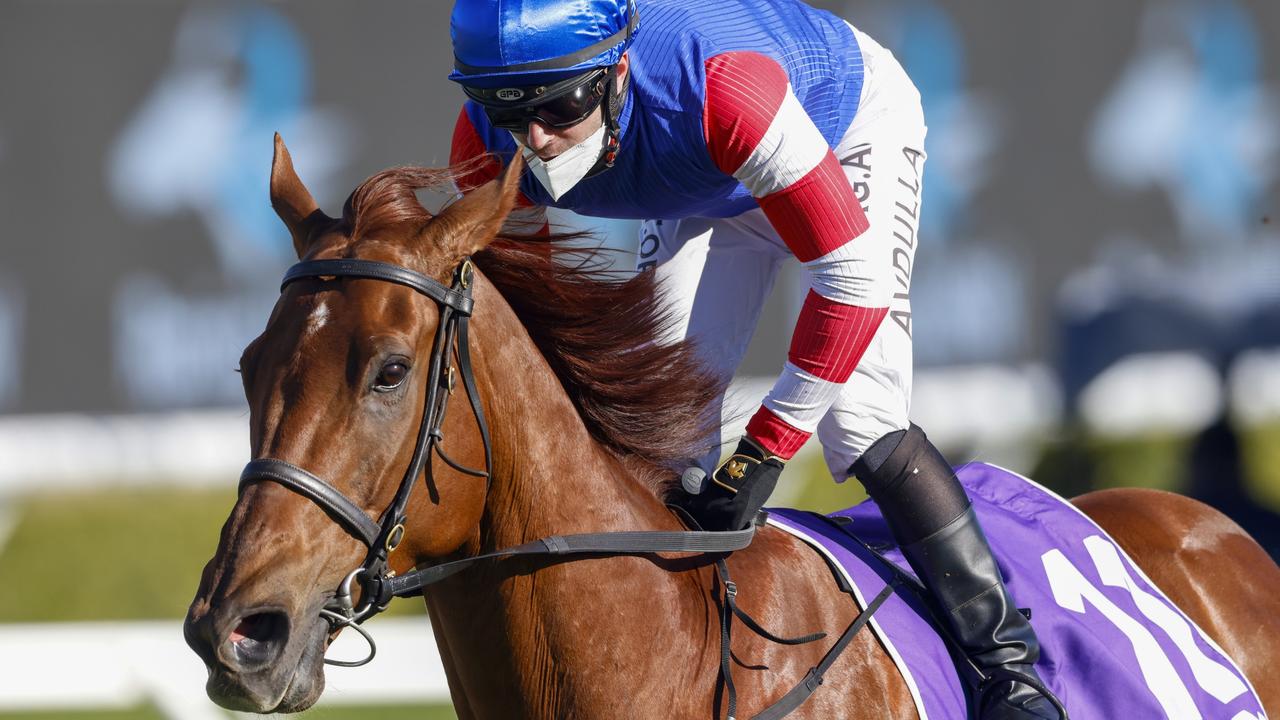 Brenton Avdulla wins on Lord Zoulander at Randwick on Saturday. Picture: Mark Evans–Getty Images