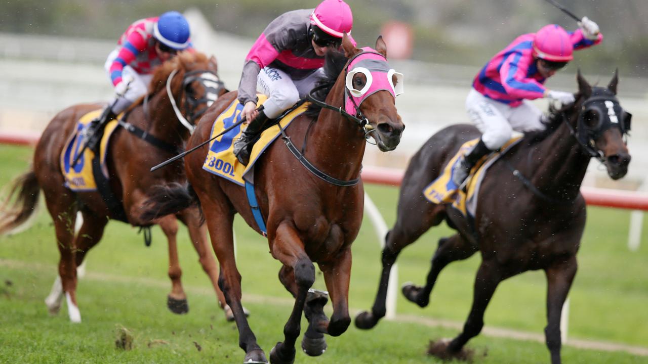 Bletchingly Stakes hopeful Inn Keeper should relish the wet ground at Caulfield on Saturday. Picture: Michael Klein