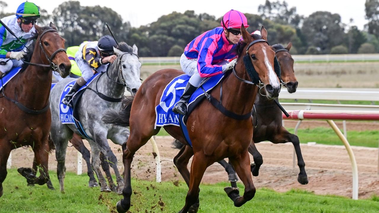 Developing filly Pammy Joy was an easy winner at Echuca last time out and will chase a city win in the VOBIS Gold Ingot at Caulfield. Picture : Racing Photos via Getty Images.