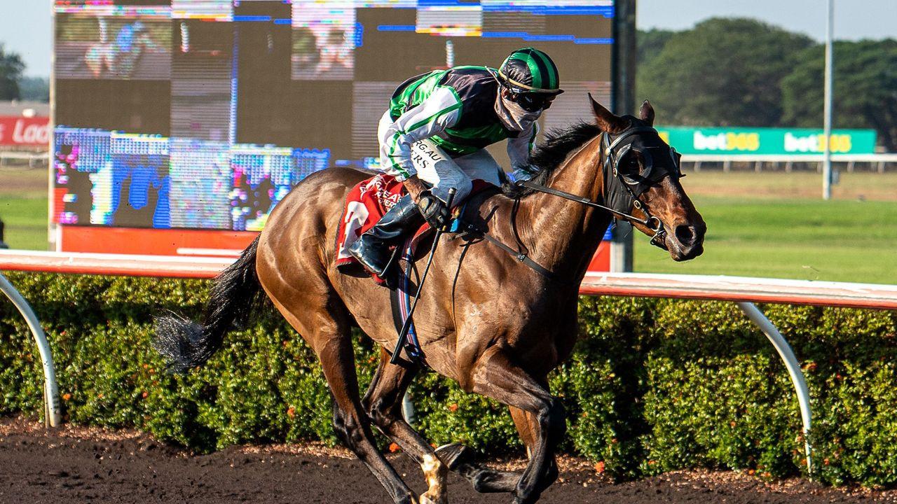 Darwin racing preview: Metric Mile day at Fannie Bay - Racenet