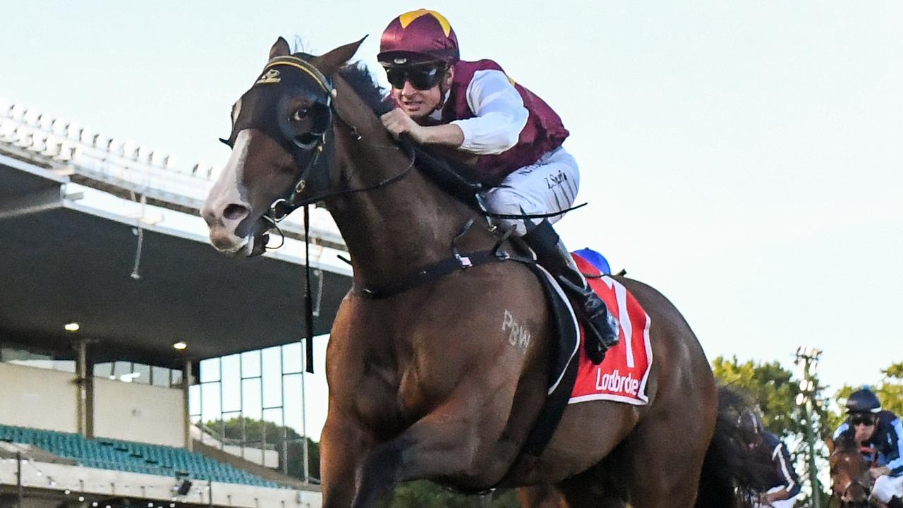 Streets of Avalon won the Group 2 Australia Stakes first-up in January. Picture: Racing Photos