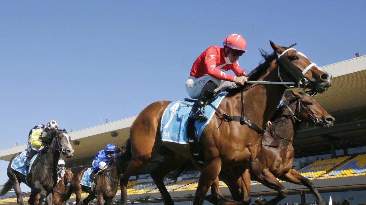 Tommy Berry wins on Tycoonist wins at Rosehill Gardens