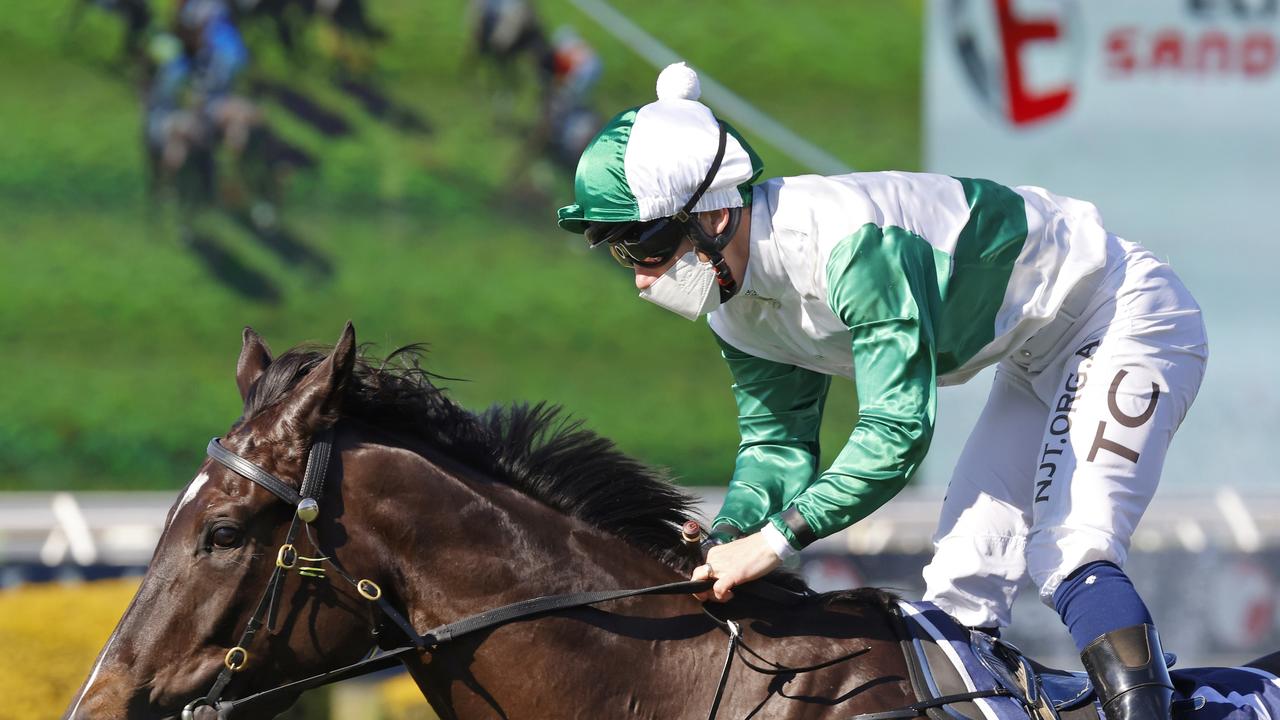 Silent Impact wins the opener at Rosehill under Tim Clark. Picture: Mark Evans–Getty Images