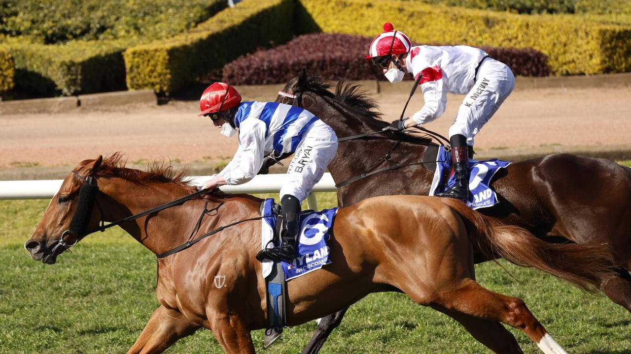 Brock Ryan on Chat storms over the top to win the Hyland Race Colours July Sprint at Rosehill Gardens. Picture: Mark Evans–Getty Images