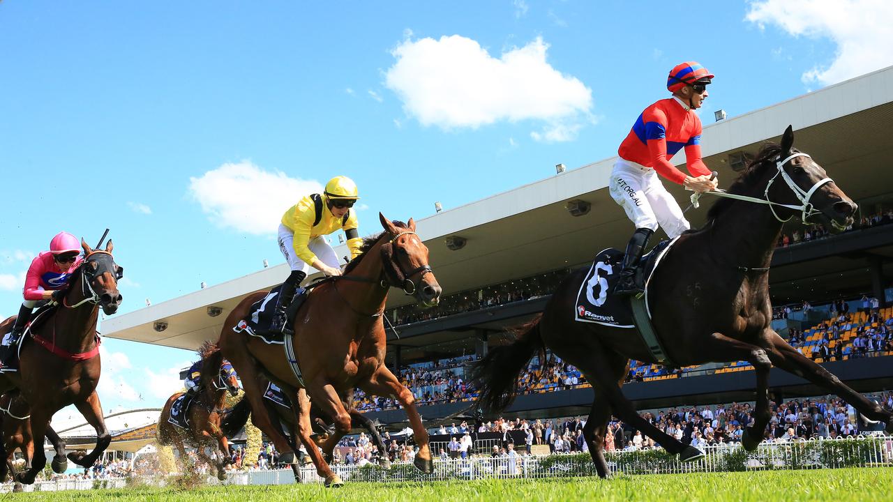 James McDonald on Verry Elleegant wins the Ranvet Stakes at Rosehill Gardens. Photo: Getty Images