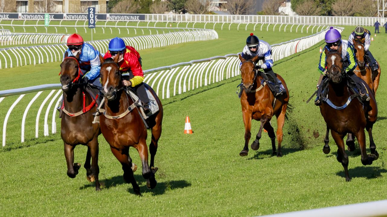 Stay Inside (blue cap) won the opening trial at Randwick with Tommy Berry on board. Picture: Getty Images