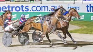 Melton’s Tabcorp Park is the workhorse of the harness racing industry. Picture: Stuart McCormick