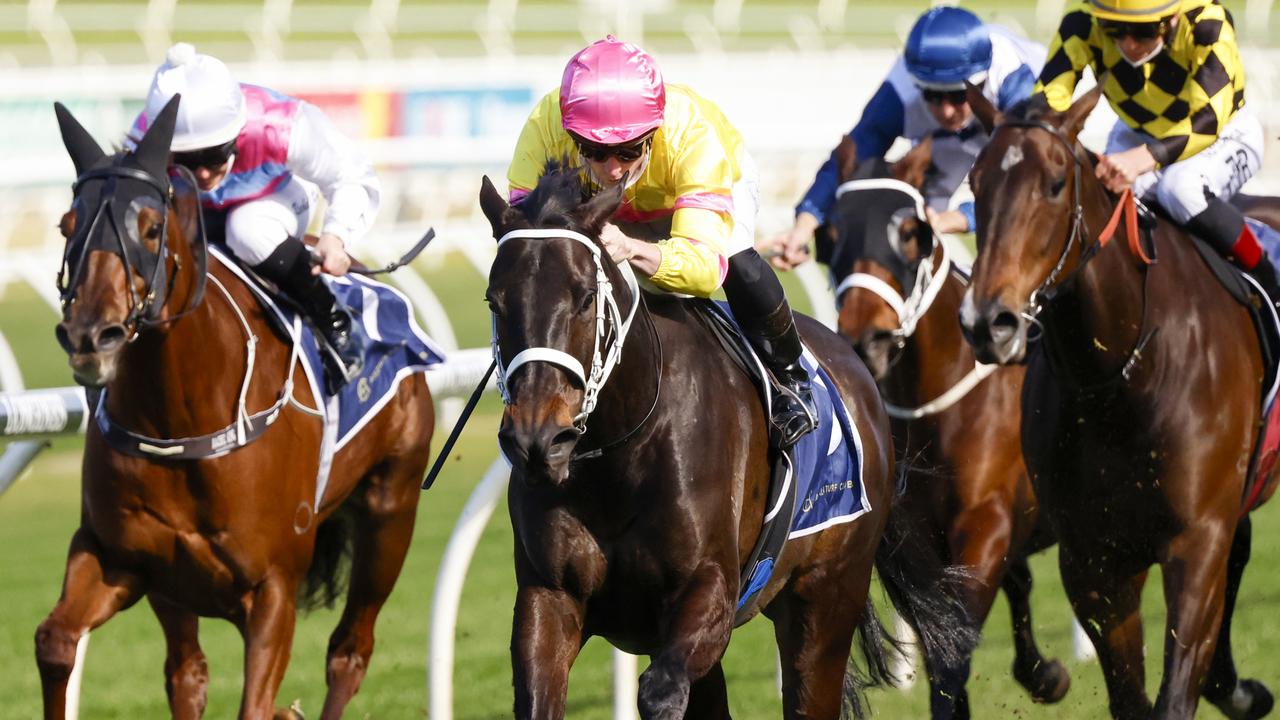 The win of So Wicked helped Chris Waller eclipse his personal best in a season. Picture: Getty Images