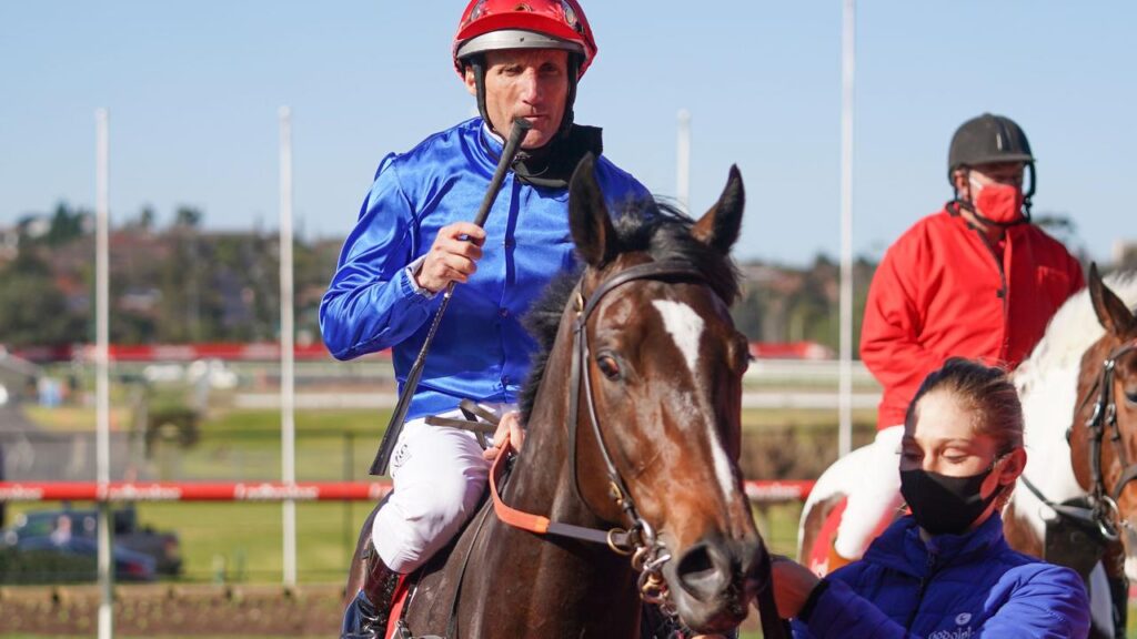 Damien Oliver returns to scale with Zapateo. Picture: Racing Photos via Getty Images