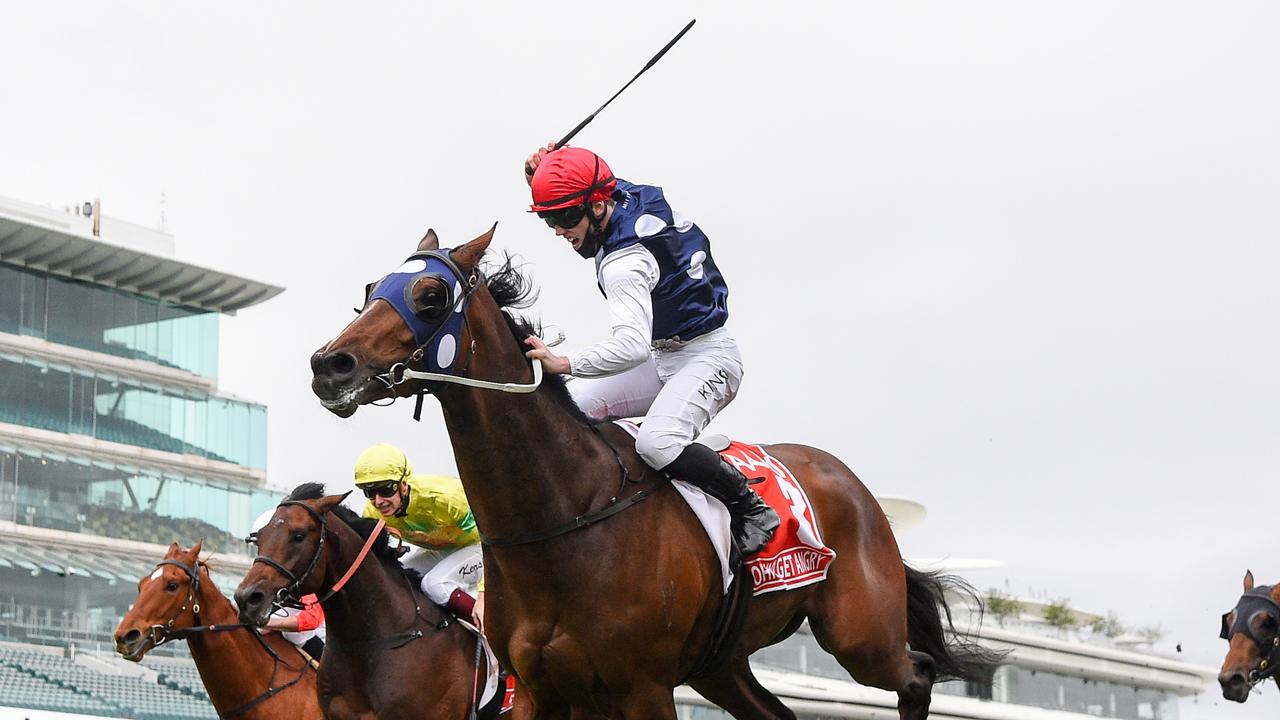 Victoria Derby winner Johnny Get Angry is set to return in the Aurie’s Star Handicap at Flemington on Saturday. Photo: Pat Scala/Racing Photos.