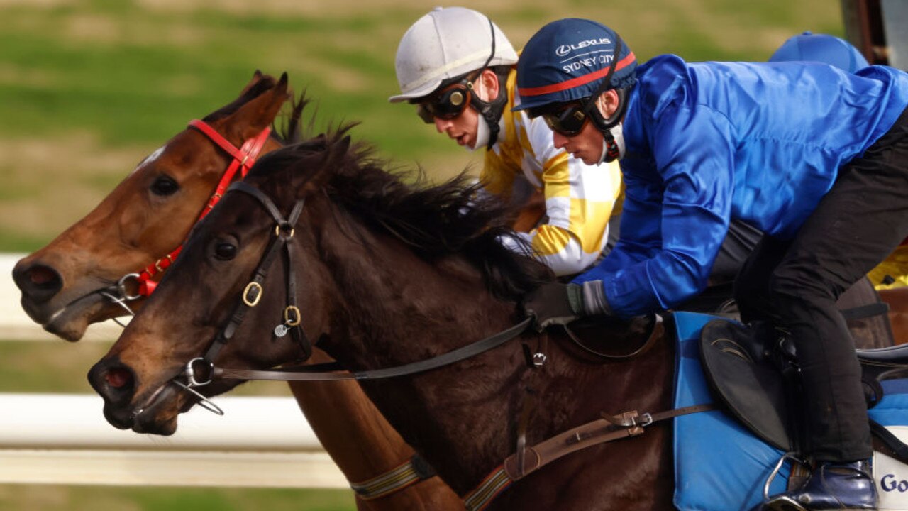 Godolphin filly Trifaccia (blue). Photo: Mark Evans/Getty Images.